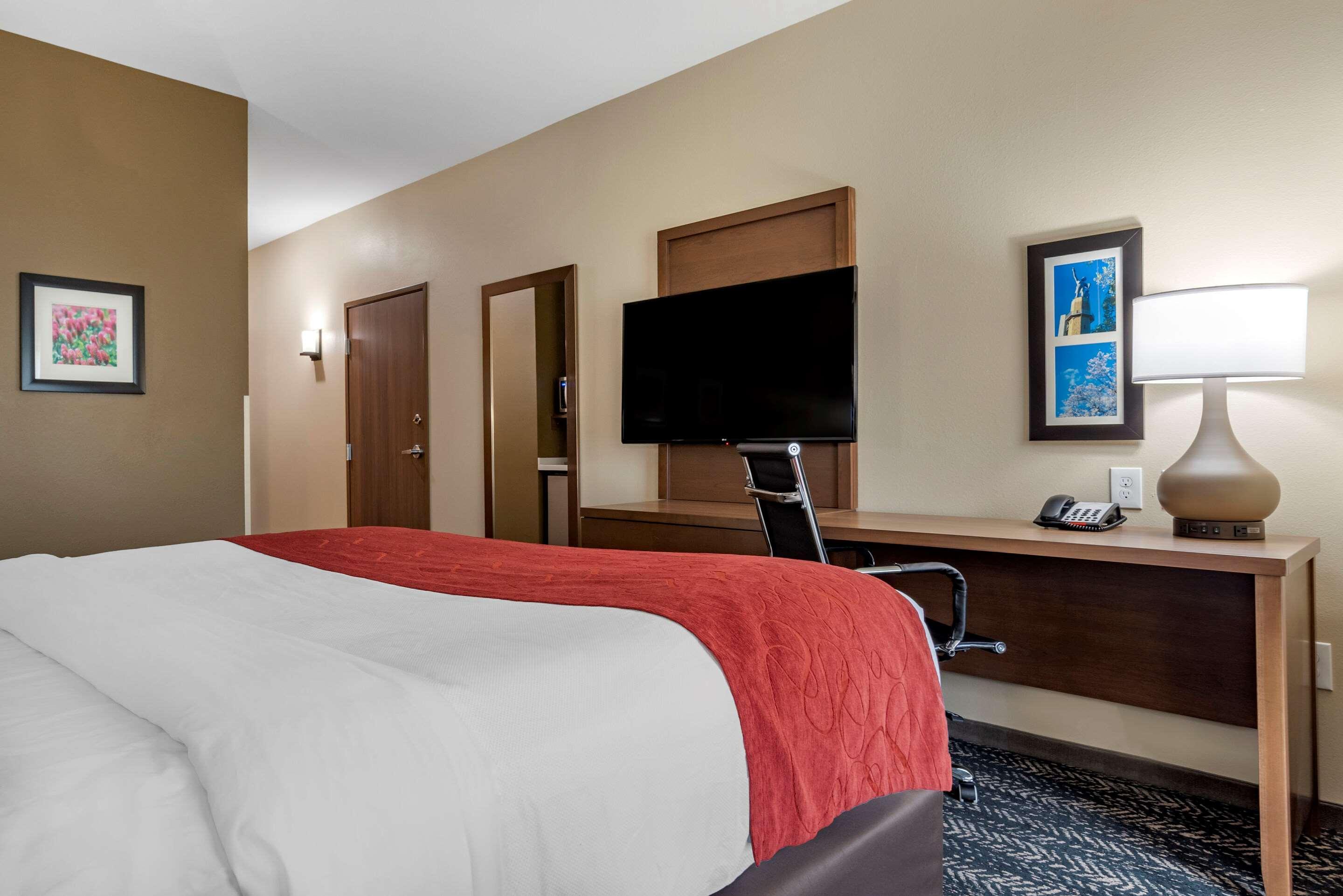Comfort Inn & Suites Downtown Near University توسكالوسا المظهر الخارجي الصورة