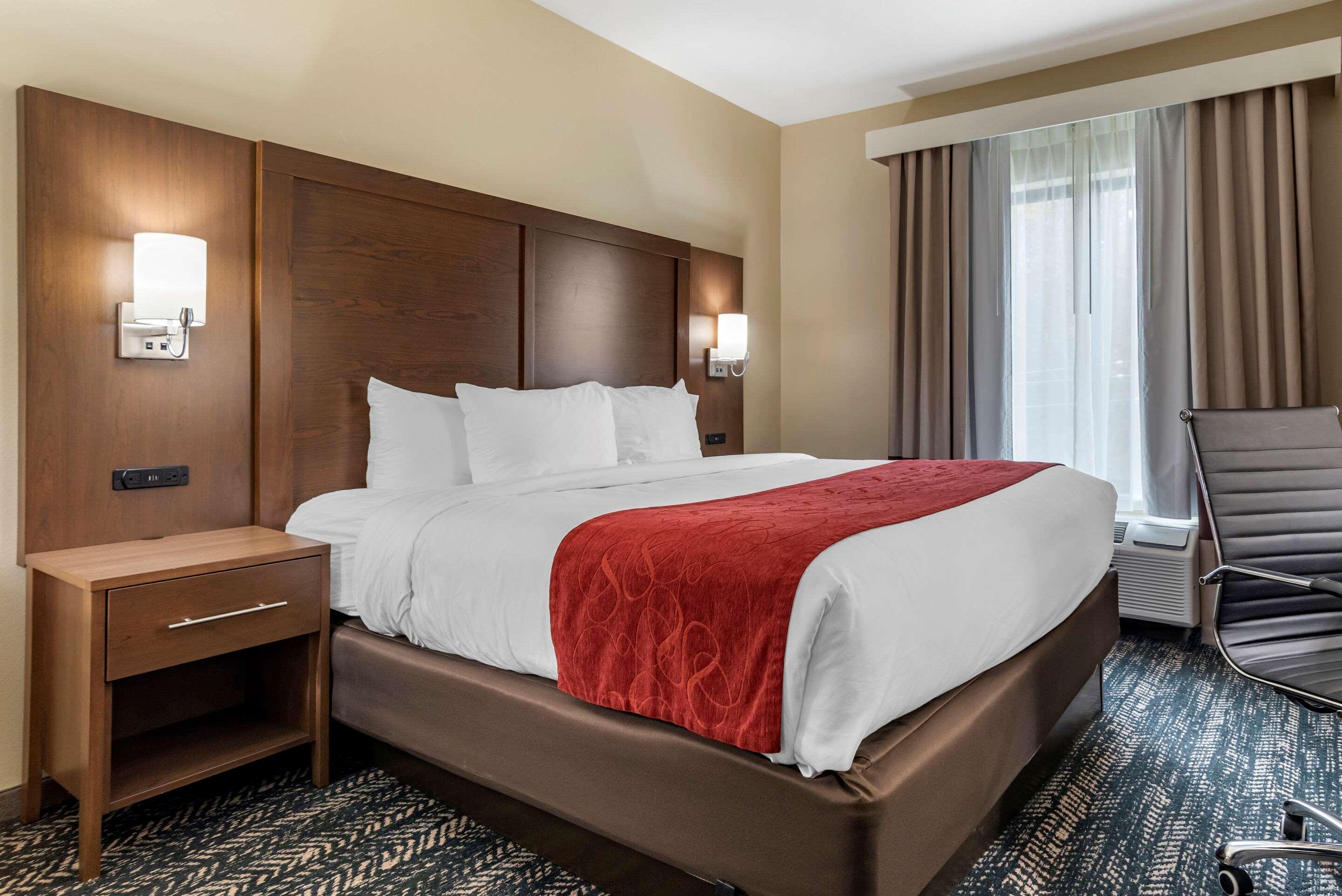 Comfort Inn & Suites Downtown Near University توسكالوسا المظهر الخارجي الصورة