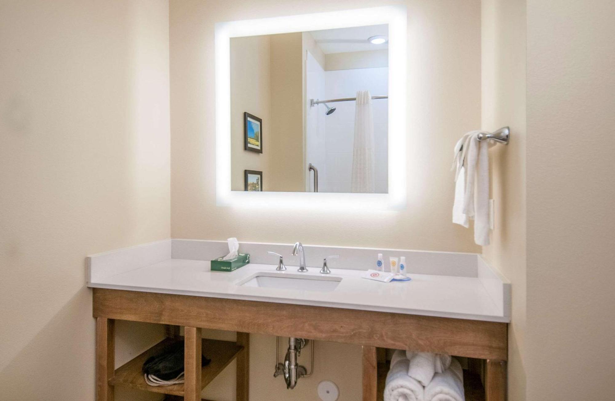 Comfort Inn & Suites Downtown Near University توسكالوسا المظهر الخارجي الصورة