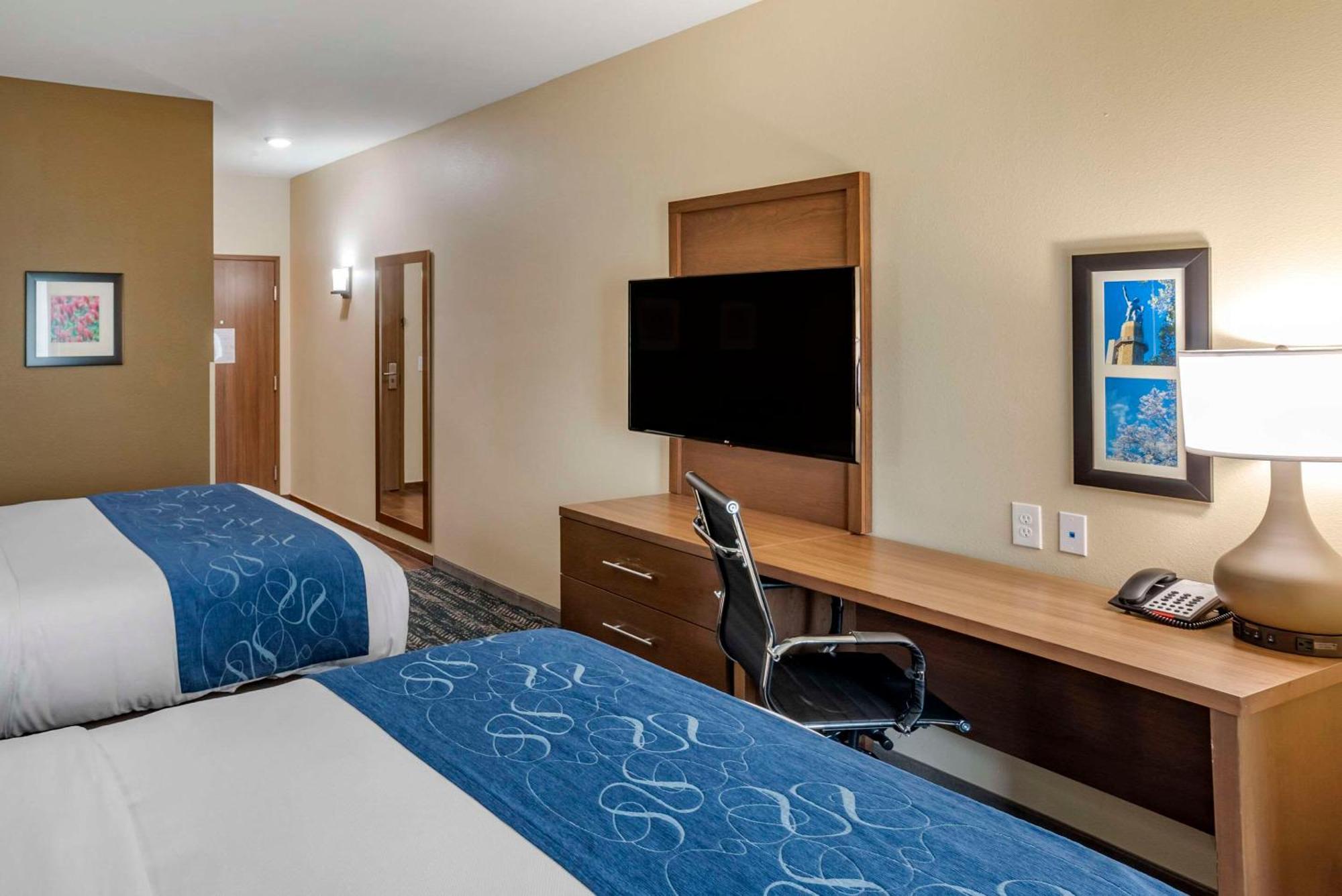 Comfort Inn & Suites Downtown Near University توسكالوسا المظهر الخارجي الصورة