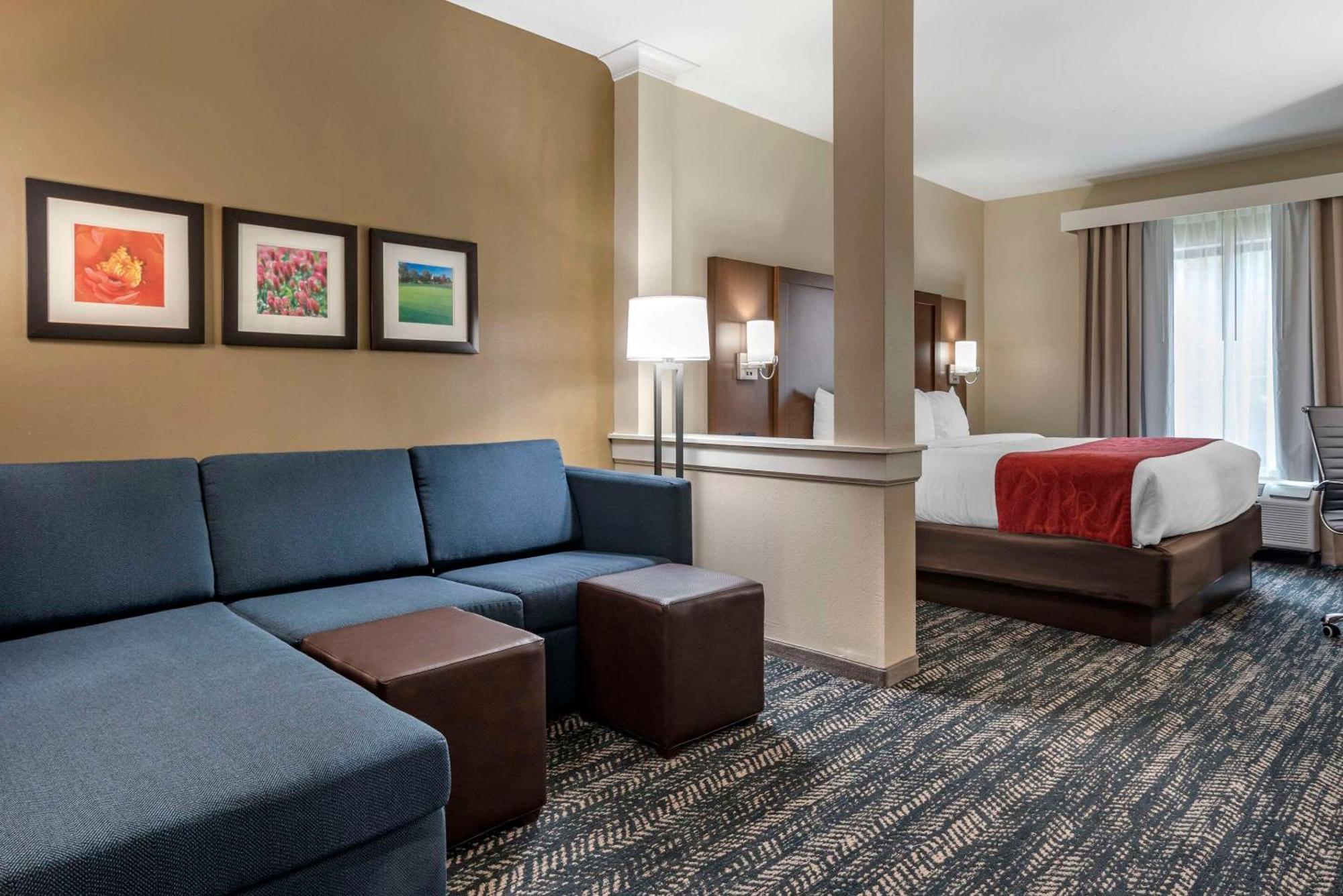 Comfort Inn & Suites Downtown Near University توسكالوسا المظهر الخارجي الصورة